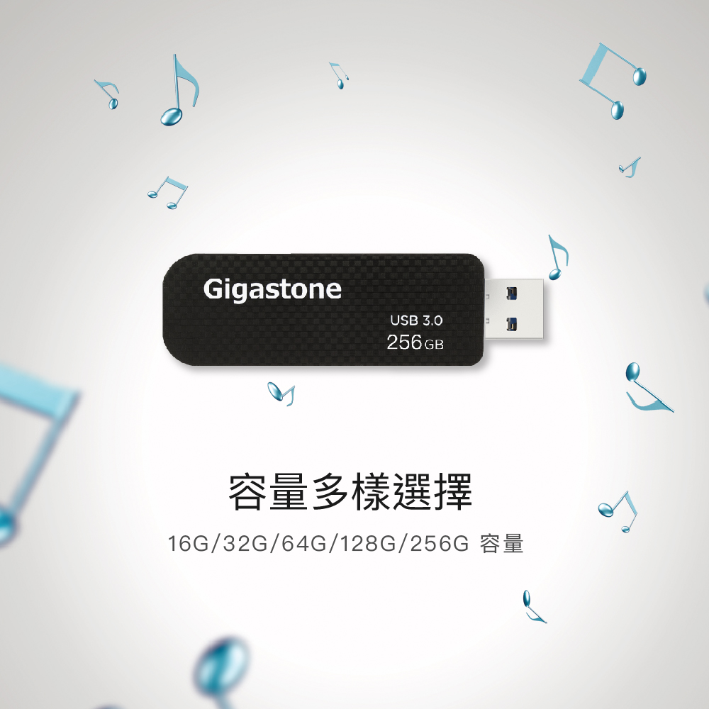 GIGASTONE USB3.0 UD-3201 256GB 格紋碟,實際價格以報價為主,U52660052,GIGASTONEUSB3.0UD-3201256GB格紋碟,原廠保固,大量採購歡迎洽詢