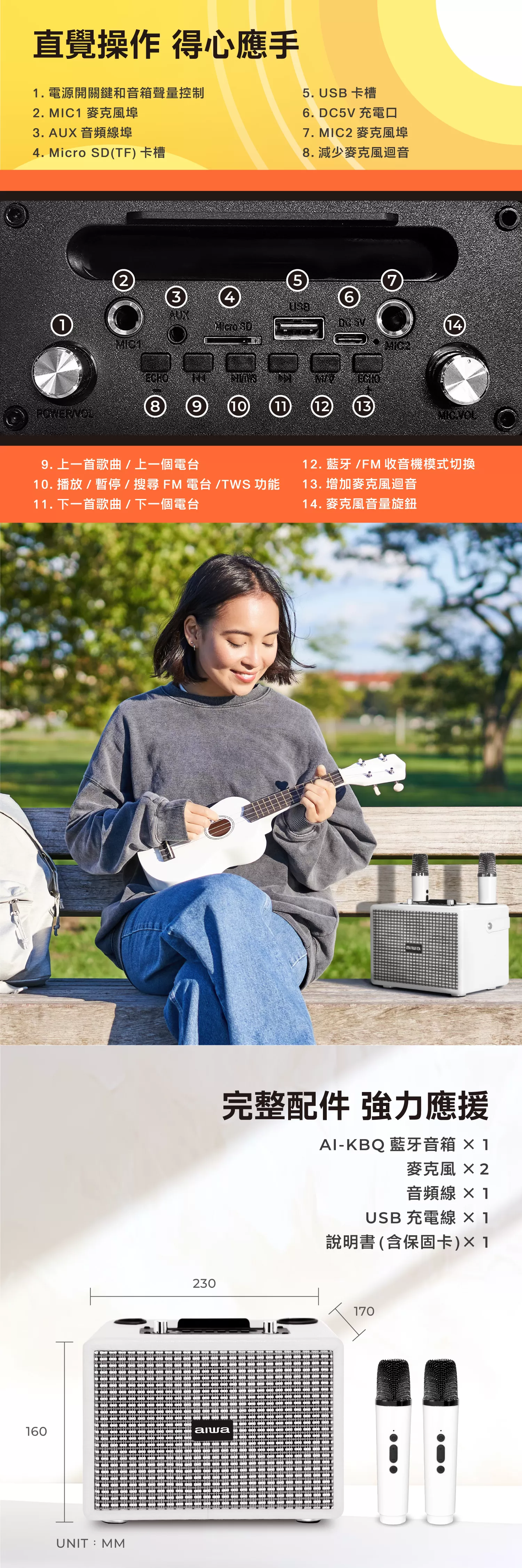 Aiwa 愛華 K歌音箱 AI-KBQ20