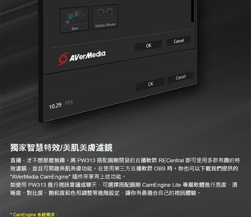 AVERMEDIA 圓剛 AVerMedia PW313高畫質網路攝影機 ( 40AAPW313AWM/40AAPW313ASF ),U52520003,AVERMEDIA圓剛AVerMediaPW313高畫質網路攝影機(40AAPW313AWM/40AAPW313ASF),原廠保固,大量採購歡迎洽詢,品質保證