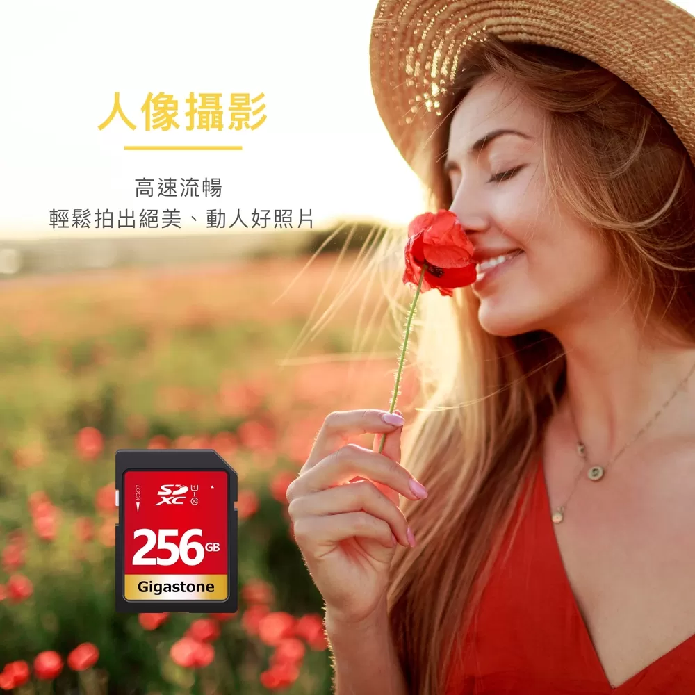 GIGASTONE GT6330 500GB PCIe Gen3 GAME TURBO M.2固態硬碟,實際價格以報價為主,U52660033,GIGASTONEGT6330500GBPCIeGen3GAMETURBOM.2固態硬碟,原廠保固,大量採購歡迎洽詢