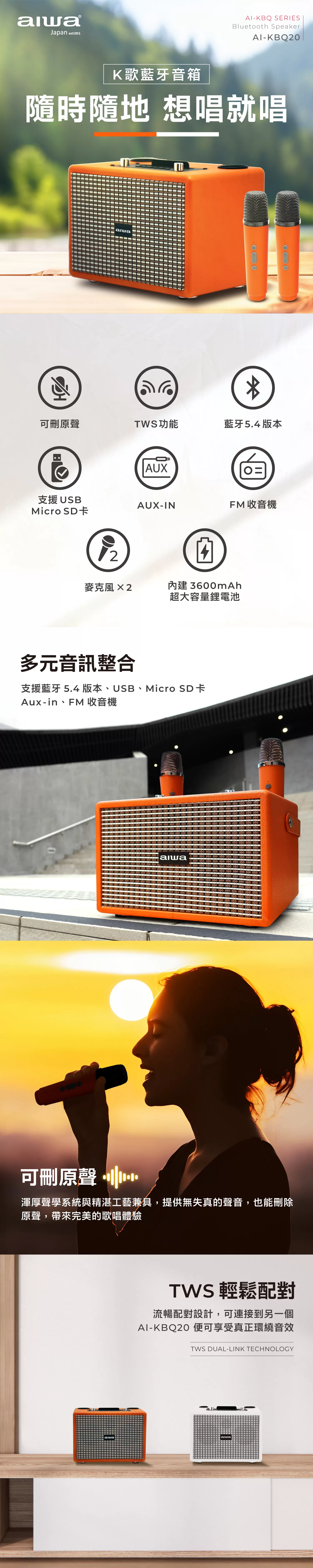 Aiwa 愛華 K歌音箱 AI-KBQ20