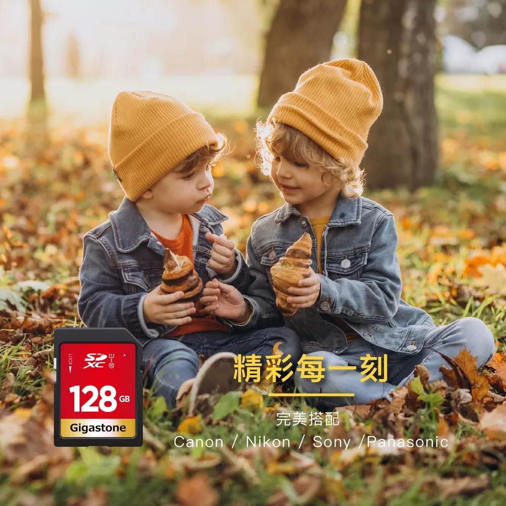 GIGASTONE GT6330 500GB PCIe Gen3 GAME TURBO M.2固態硬碟,實際價格以報價為主,U52660033,GIGASTONEGT6330500GBPCIeGen3GAMETURBOM.2固態硬碟,原廠保固,大量採購歡迎洽詢