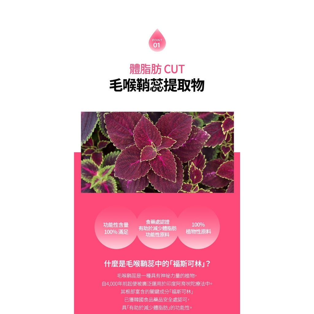 【韓國獨家經銷 現貨】HealthHelper Maxcut 小粉水 柒柒花媽 全新正品 (7g/20條/盒),韓國獨家經銷小粉水柒柒花媽,A0003,【韓國獨家經銷現貨】HealthHelperMaxcut小粉水柒柒花媽全新正品(7g/20條/盒),所有商品,Outer