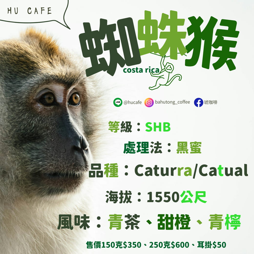 哥斯大黎加-塔拉珠 蜘蛛猴150克