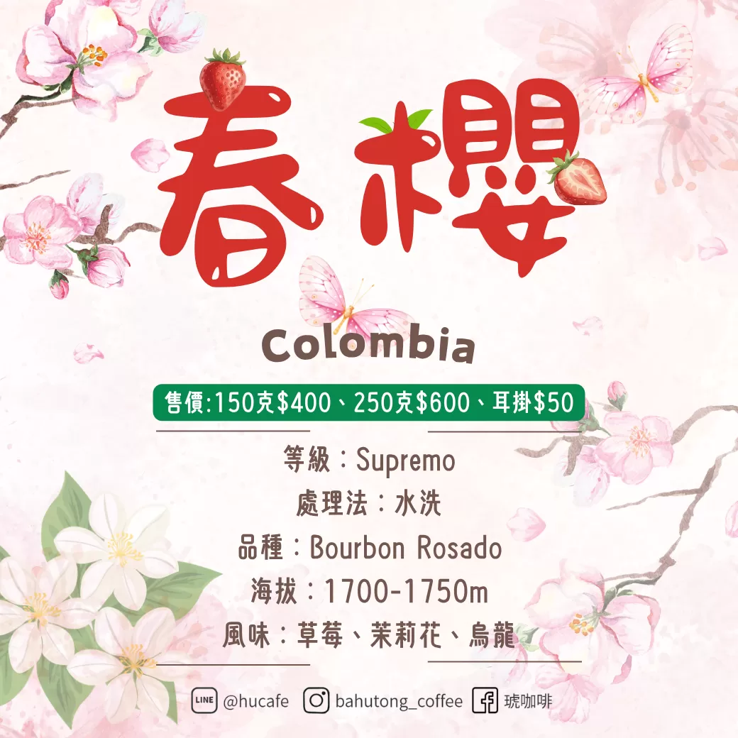 哥倫比亞-春櫻 150克