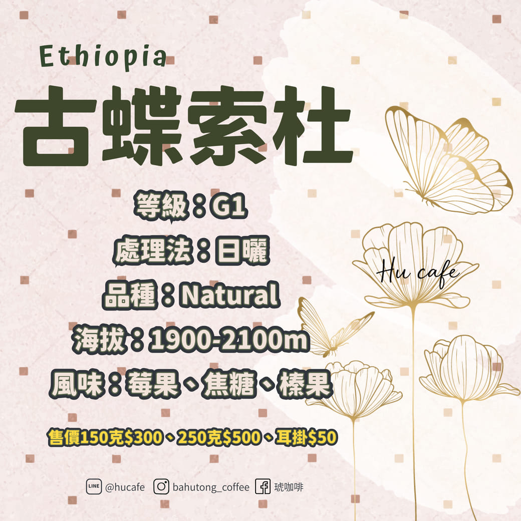 衣索比亞-古蝶索杜 250克
