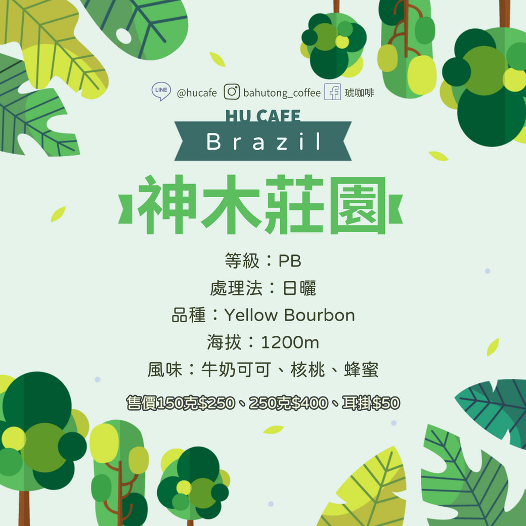 巴西-聖泰奧 神木莊園150克
