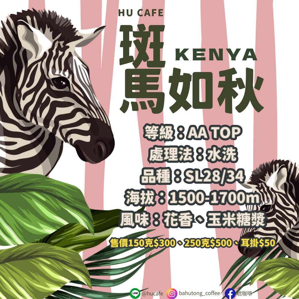 肯亞-斑馬如秋 250克