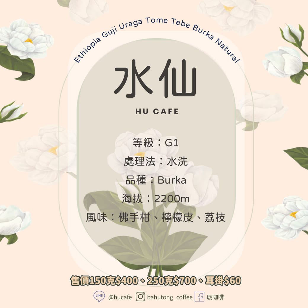 衣索比亞-古吉 烏拉嘎 水仙 250克
