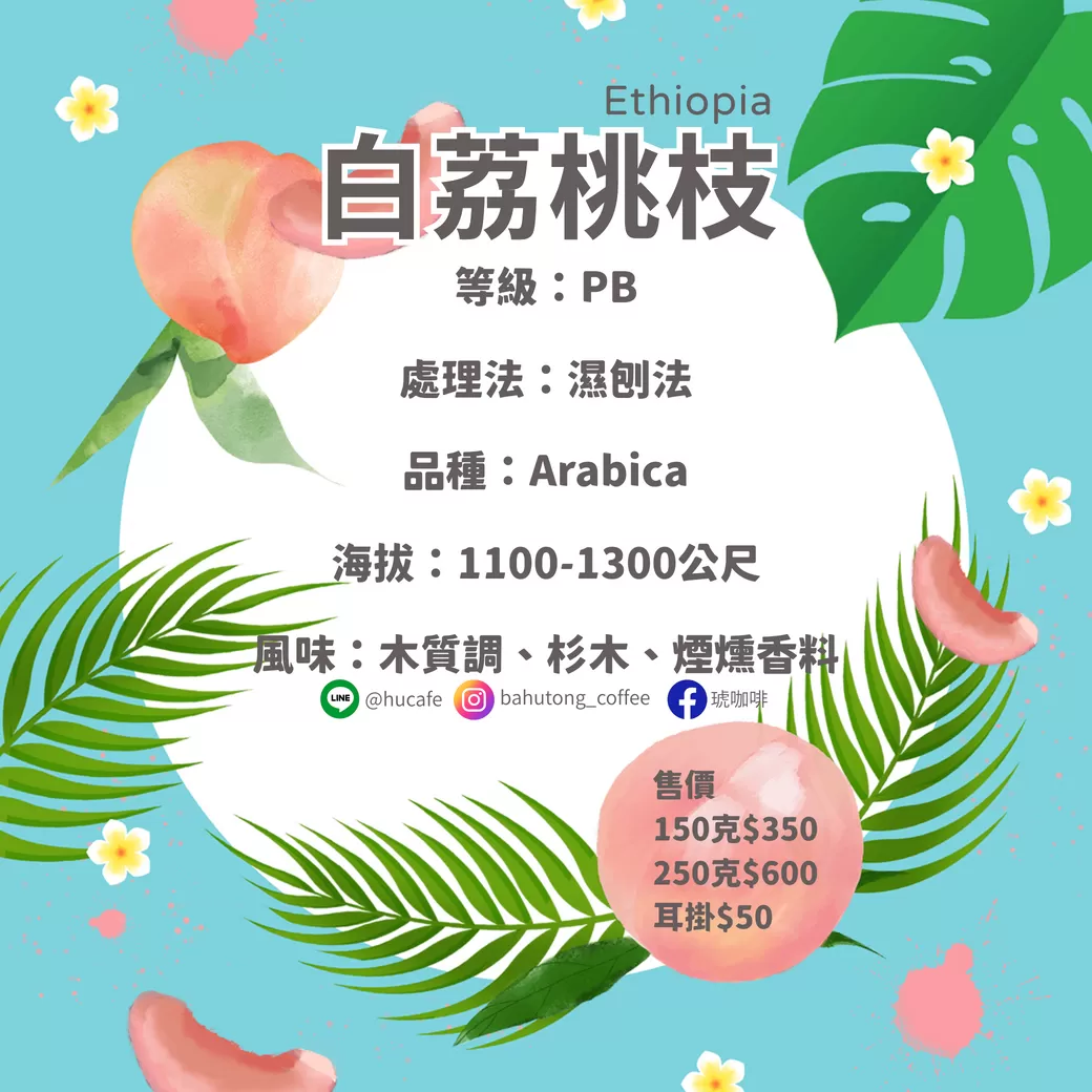 衣索比亞-白荔桃枝 250克