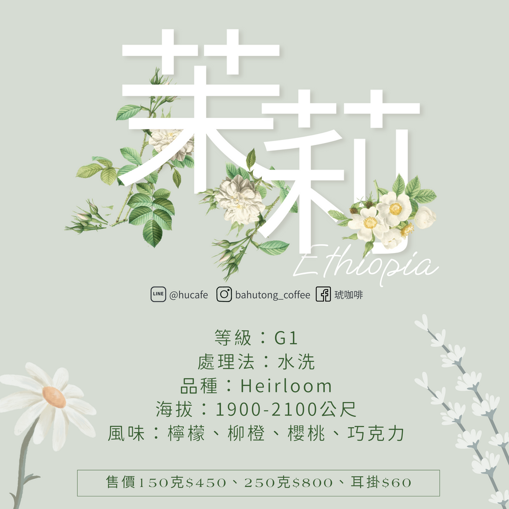 衣索比亞-谷吉 夏奇索 茉莉 250克