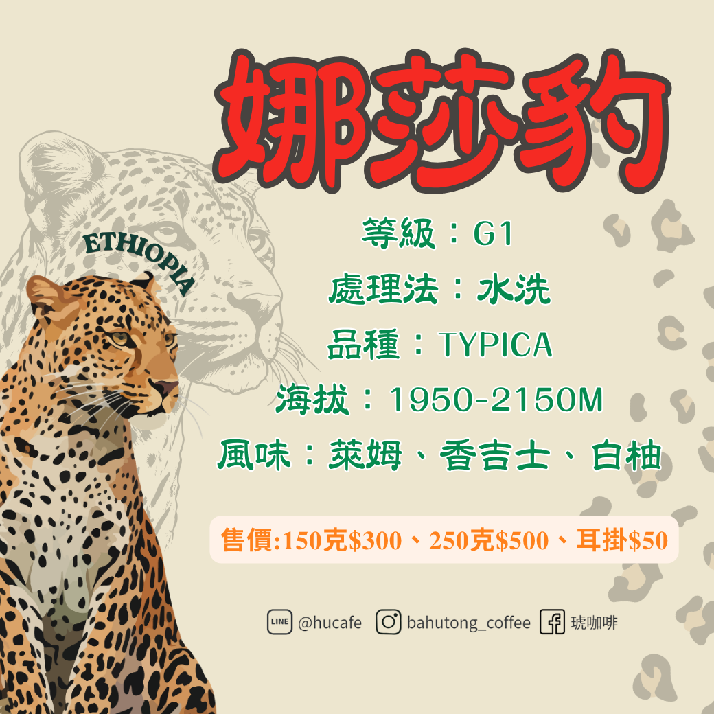 衣索比亞-娜莎豹 150克