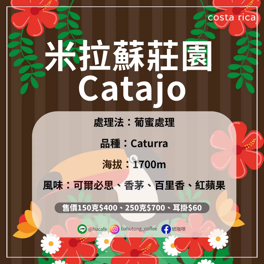 哥斯大黎加-米拉蘇莊園 卡杜拉 250克
