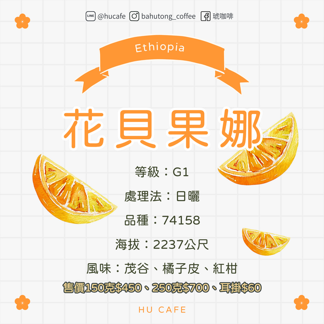 衣索比亞-花貝果娜 150克