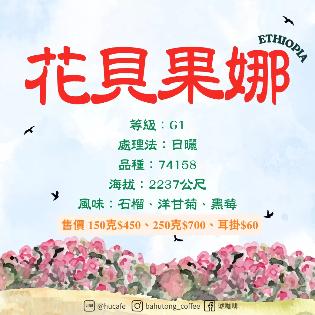 衣索比亞-花貝果娜 150克