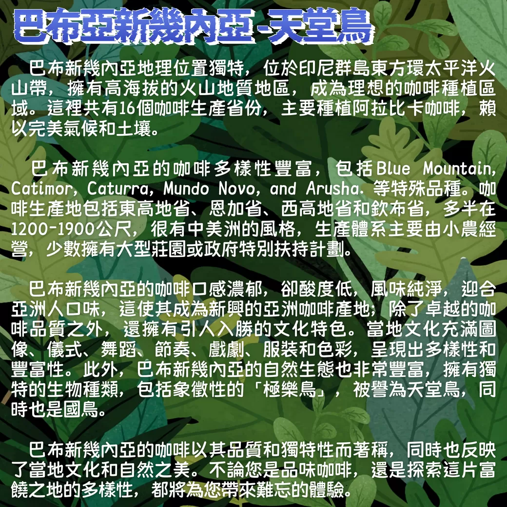 巴布亞新幾內亞-天堂鳥莊園 250克