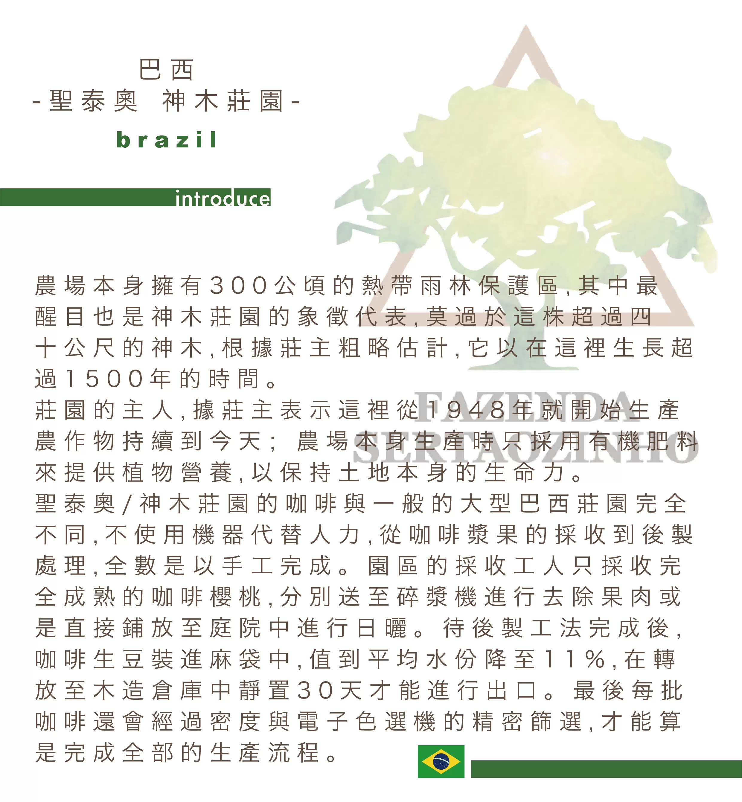 巴西-聖泰奧 神木莊園150克