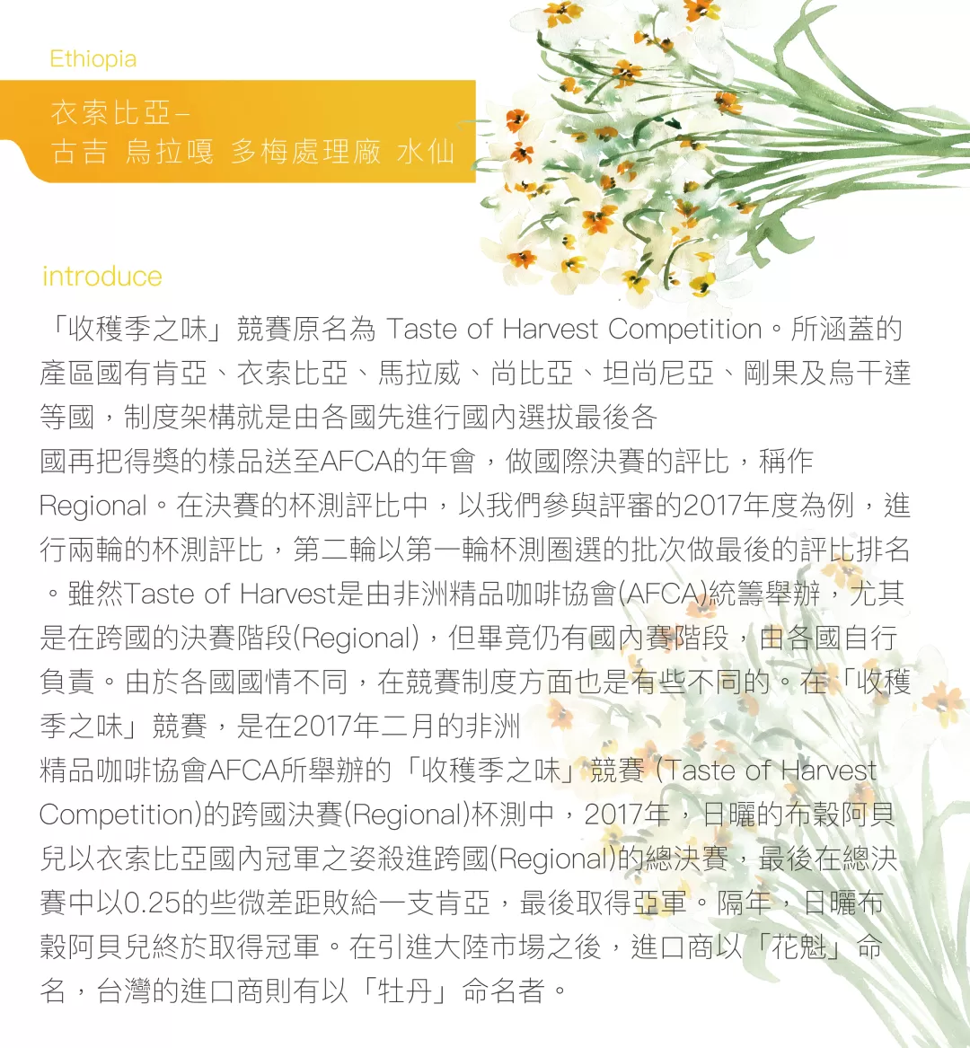 衣索比亞-古吉 烏拉嘎 水仙150克