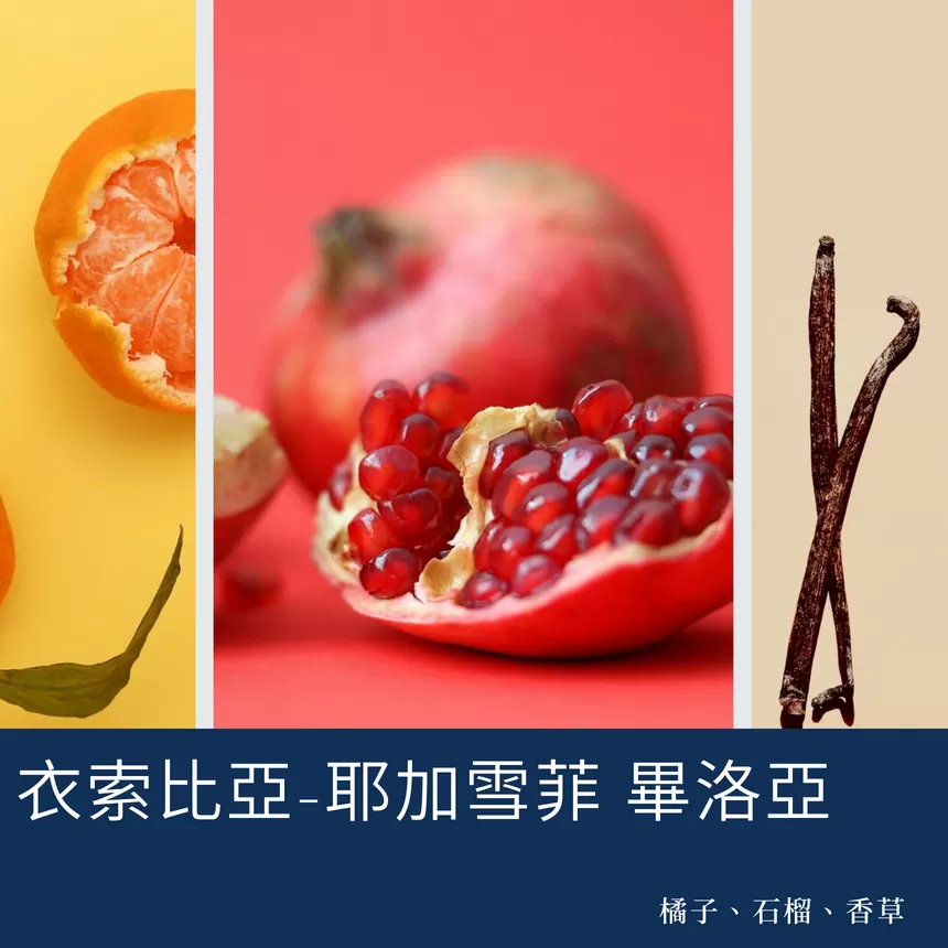 常態耳掛組合十入裝