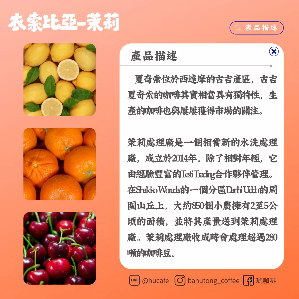 衣索比亞-谷吉 夏奇索 茉莉 150克,A0081,衣索比亞-谷吉夏奇索茉莉150克,水果香氣,水洗,淺焙