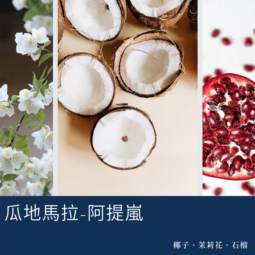常態耳掛組合十入裝