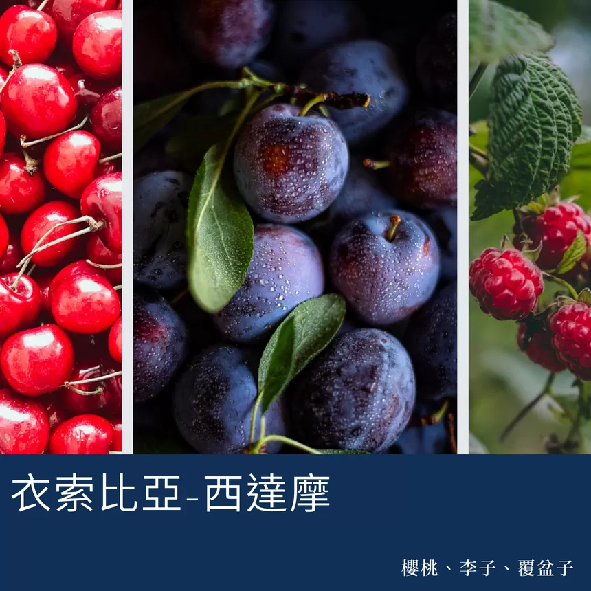 常態耳掛組合十入裝