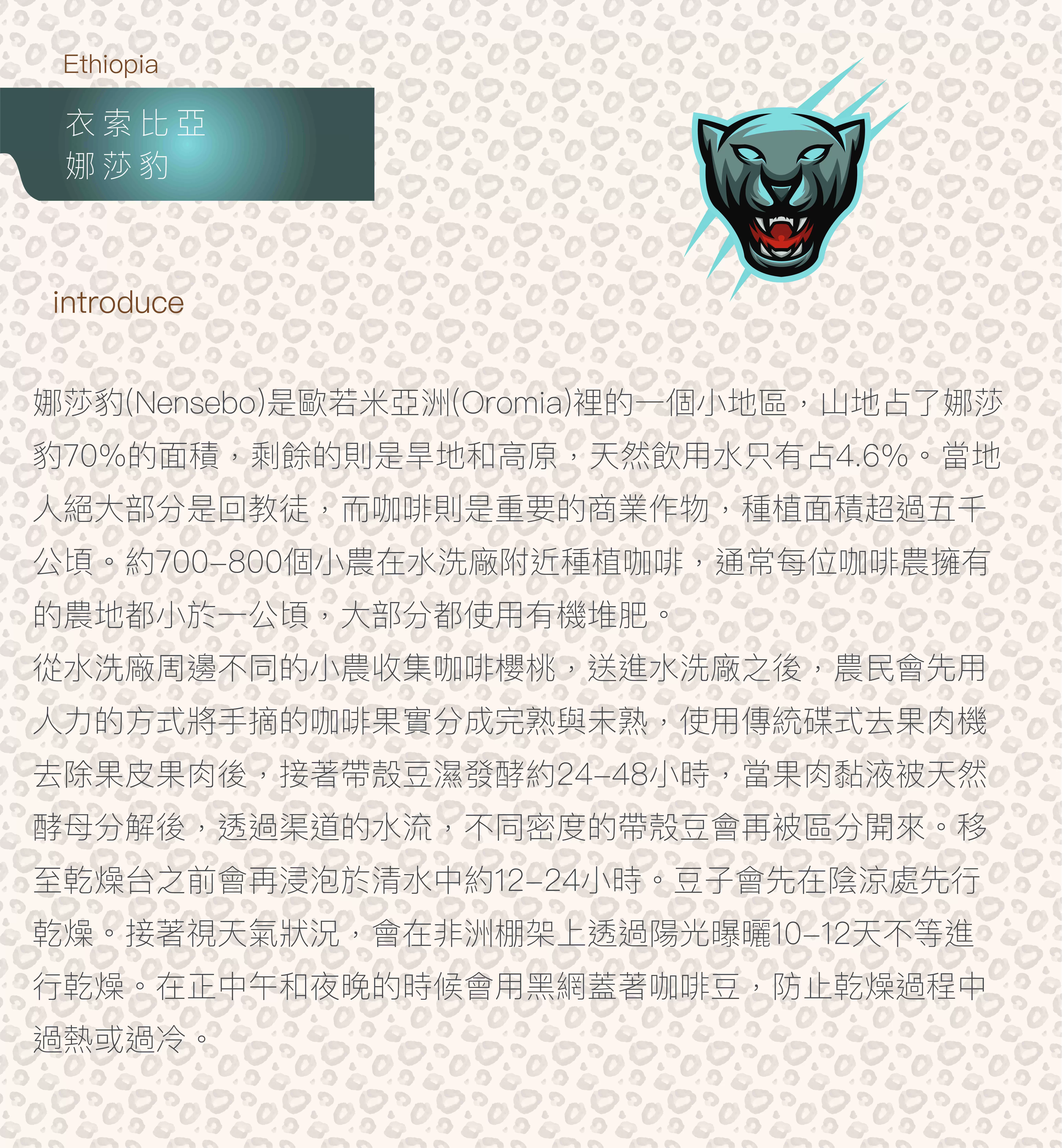 衣索比亞-娜莎豹 150克,A0072,衣索比亞-娜莎豹150克,水果香氣,水洗,淺焙