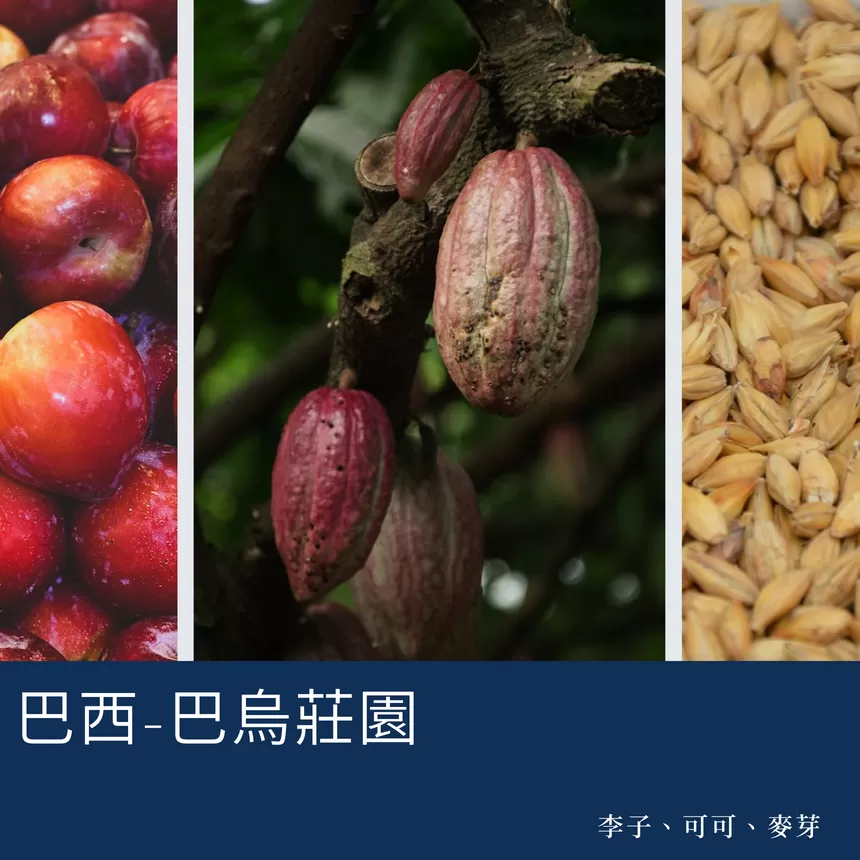 常態耳掛組合十入裝