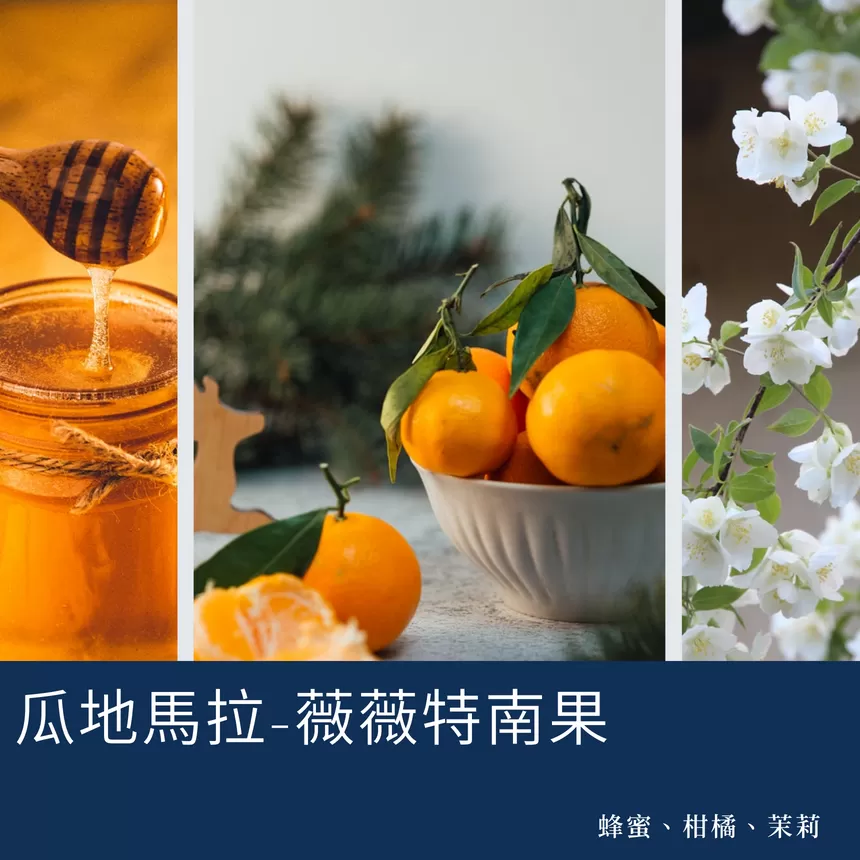常態耳掛組合十入裝