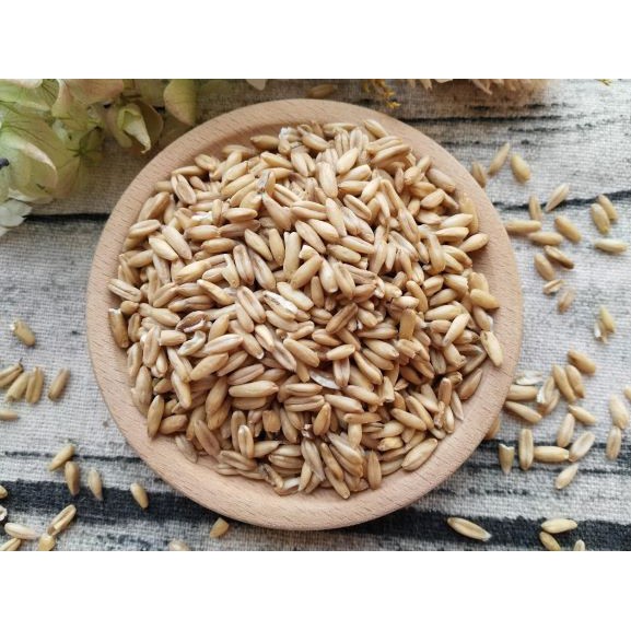 高纖減醣燕麥 燕麥粒 穀粒飽滿 非廉價商品 香濃可口 五穀雜糧 燕麥奶 燕麥飯 低GI 五穀米 燕麥漿 燕麥五穀飯,U53640010,高纖減醣燕麥燕麥粒穀粒飽滿非廉價商品香濃可口五穀雜糧燕麥奶燕麥飯低GI五穀米燕麥漿燕麥五穀飯,雜糧類,U5364001001,U5364001002