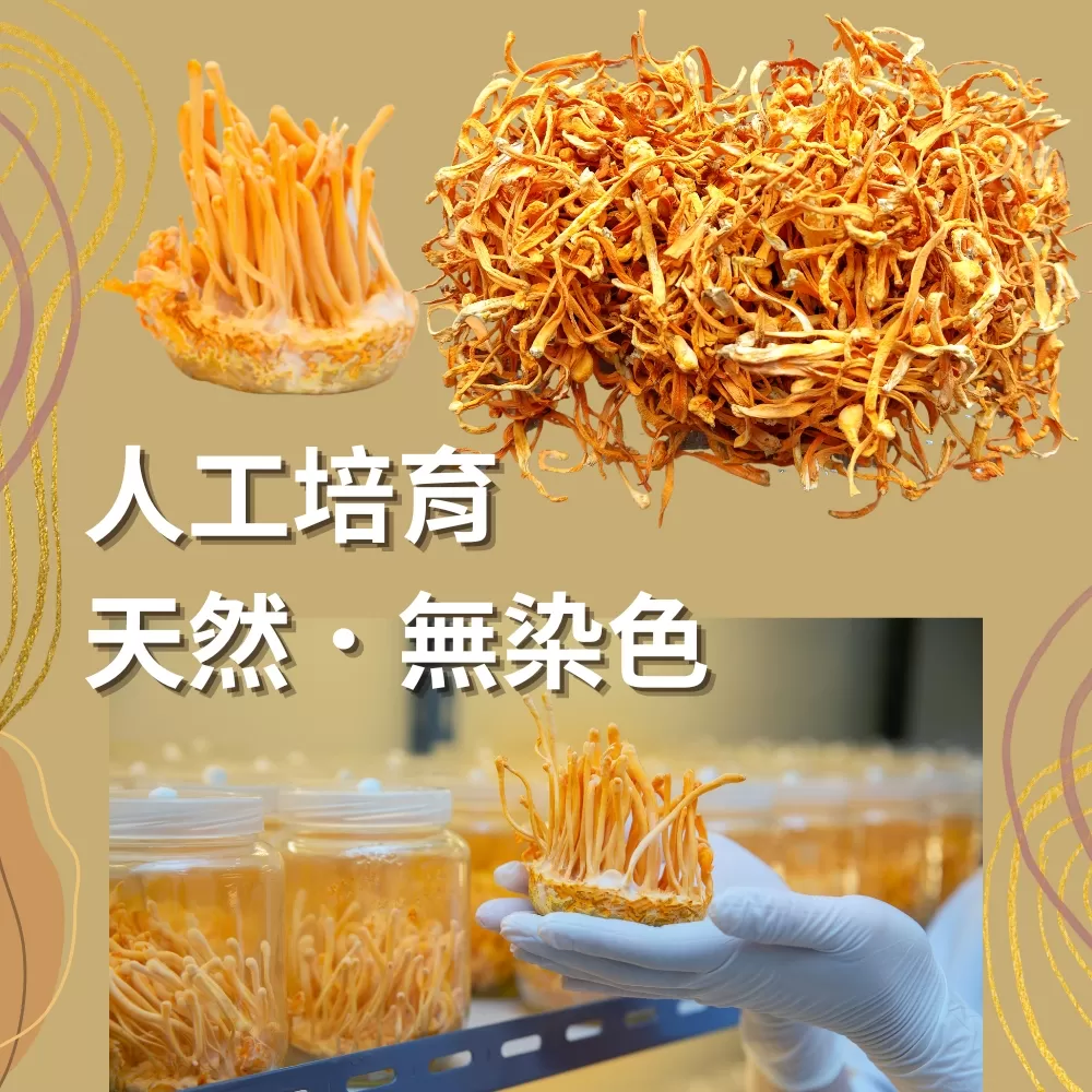 綜合養生菇 特級菌菇湯包 滋補養生 巴西蘑菇 台灣香菇 黃金蟲草 雞湯 排骨湯 燉湯 菌菇湯 香菇雞湯 脆脆菇,U53640012,綜合養生菇特級菌菇湯包滋補養生巴西蘑菇台灣香菇黃金蟲草雞湯排骨湯燉湯菌菇湯香菇雞湯脆脆菇,乾貨蕈菇類,U5364001201,U5364001202