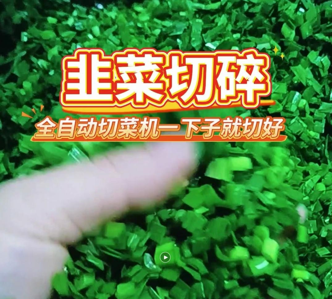 XZ-688A型多功能切菜機