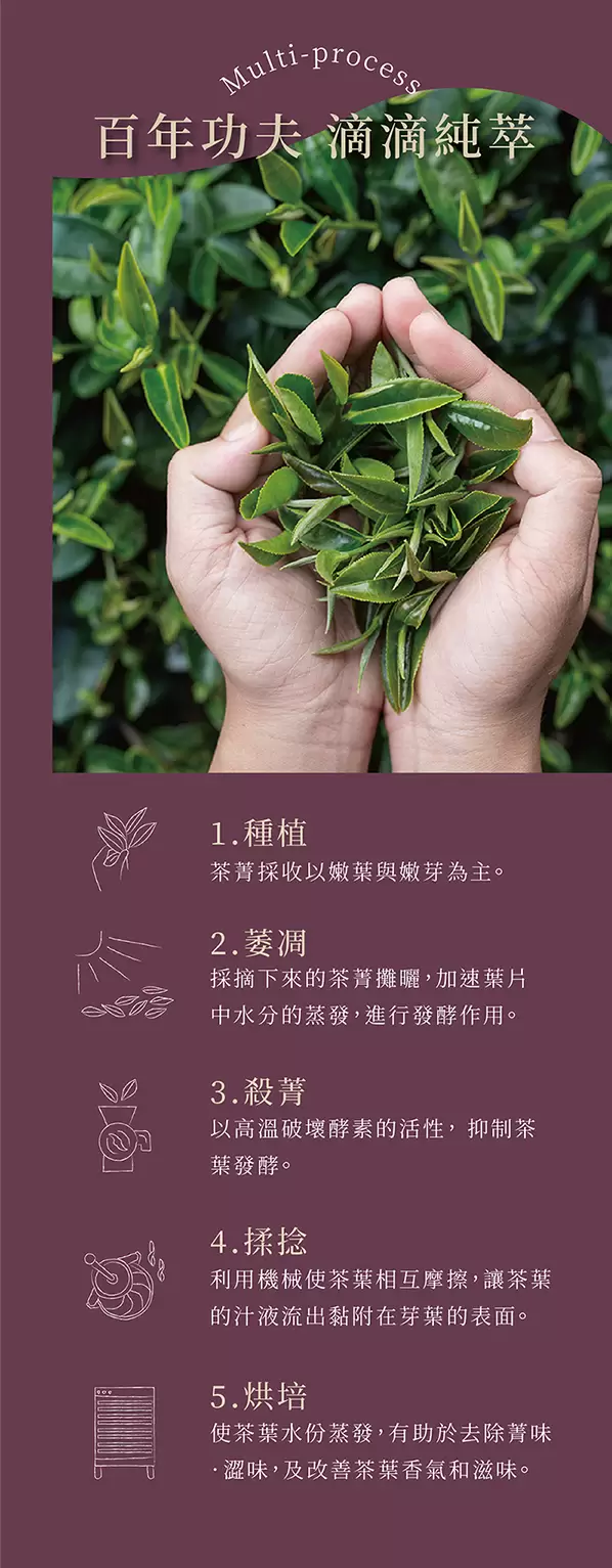 茶葉少女聯名茶四盒禮組/附茶葉少女IP提袋