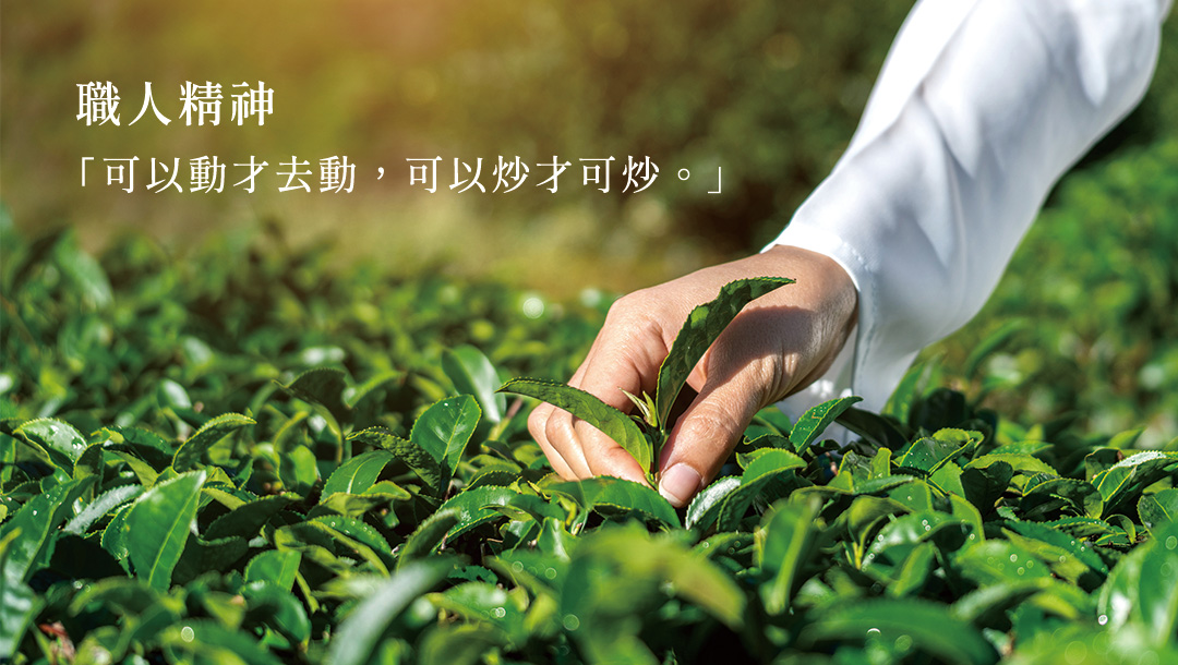 衫林溪 高山茶 150g 4兩/包