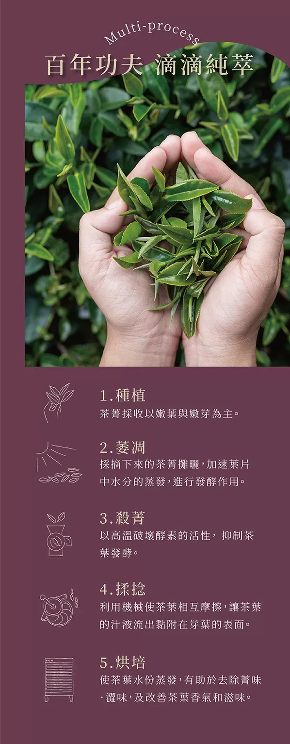 龍鳳峽 高山茶 150g 4兩/包