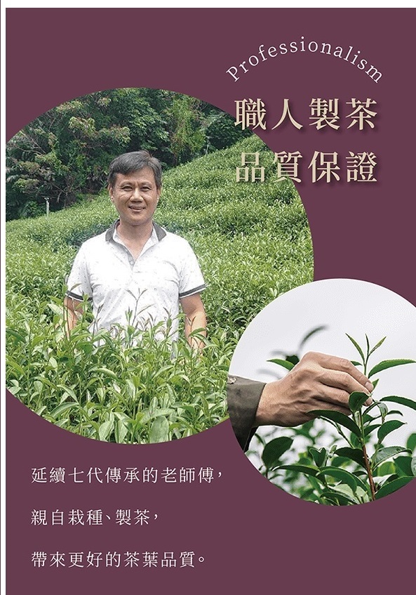 茶葉少女聯名茶四盒禮組/附茶葉少女IP提袋