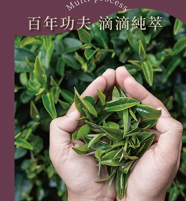 高山金萱烏龍茶 150g 4兩/盒