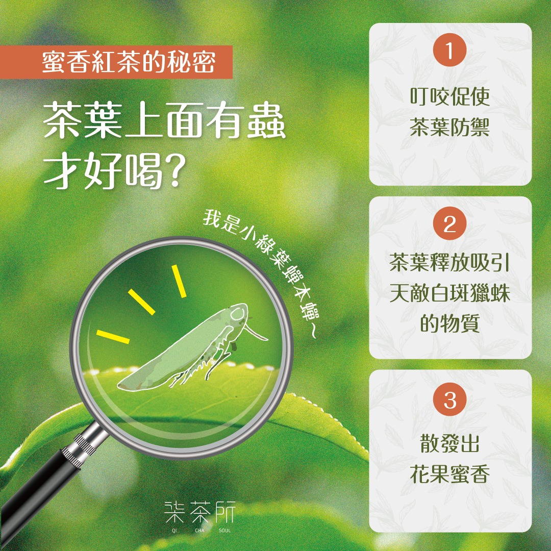 友善蜜香紅茶50g*2入籐藍組(附提袋)