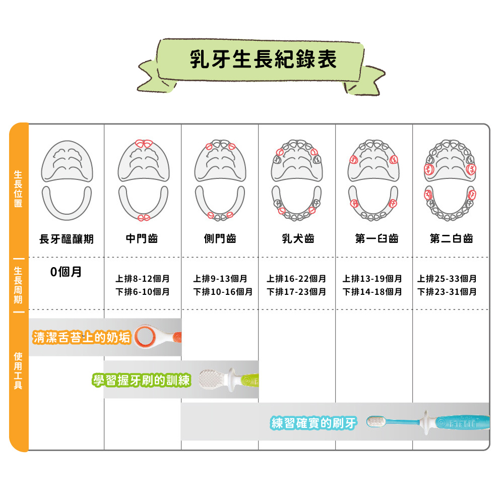 Farlin 指套型乳牙刷(附收納盒),乳牙護理,清潔舌苔,矽膠乳牙刷,矽膠指套牙刷,牙齒清潔