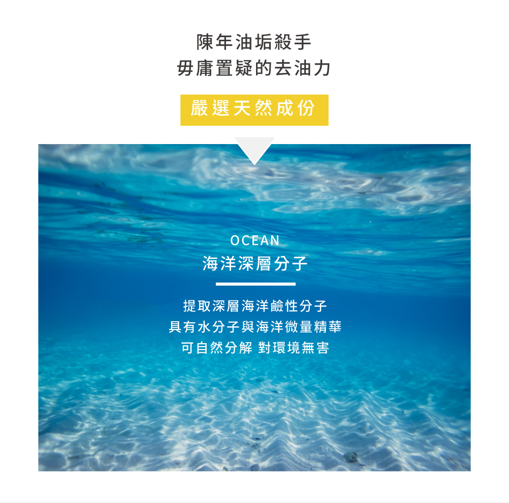 噴樂趣 濃效型油污去除劑（小黃瓶）