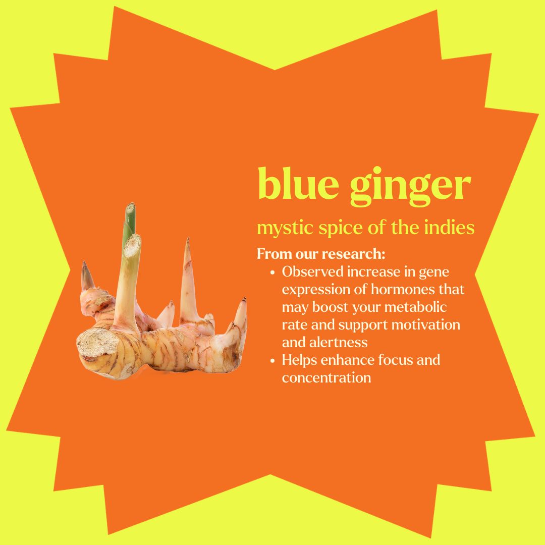 活力格海苔脆｜四川麻辣味,U60550002,活力格海苔脆｜四川麻辣味,大高良薑萃取物,天然活性成分,一盒4包