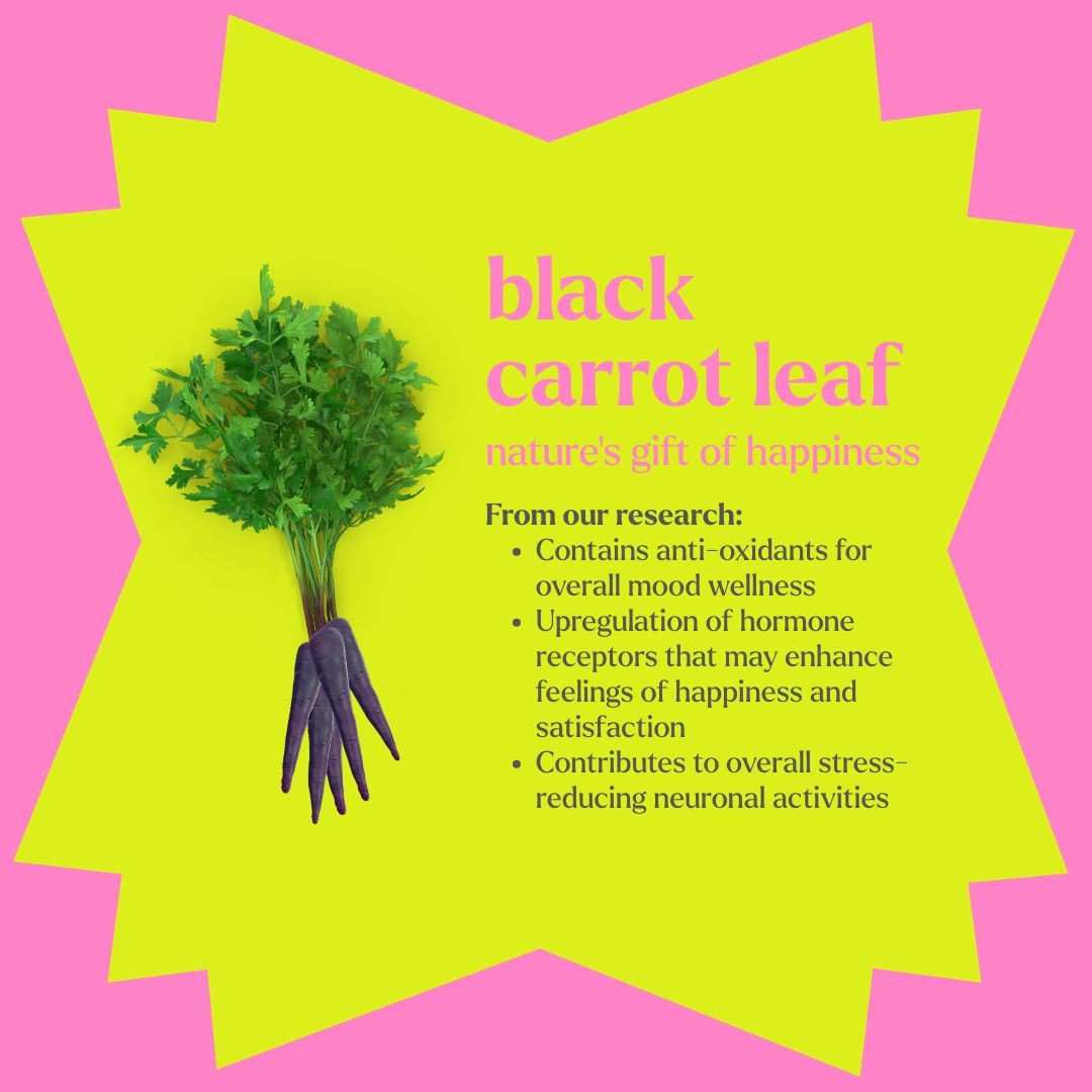 幸福悅海苔脆｜香菇味噌味,U60550006,幸福悅海苔脆｜香菇味噌味,天然活性成分,一盒4包,素食可食