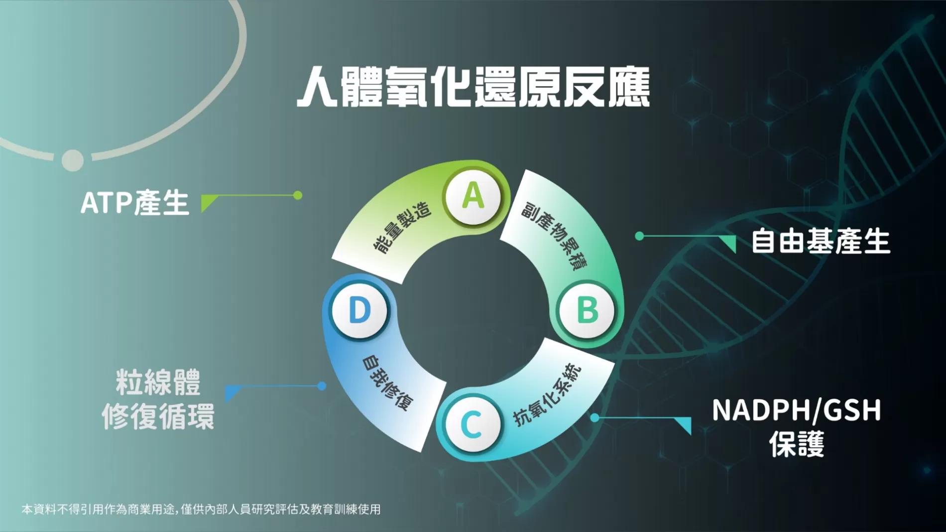 菈柏菲喚能飲,Nu0002,菈柏菲喚能飲,所有商品,菈柏菲,Nu0001