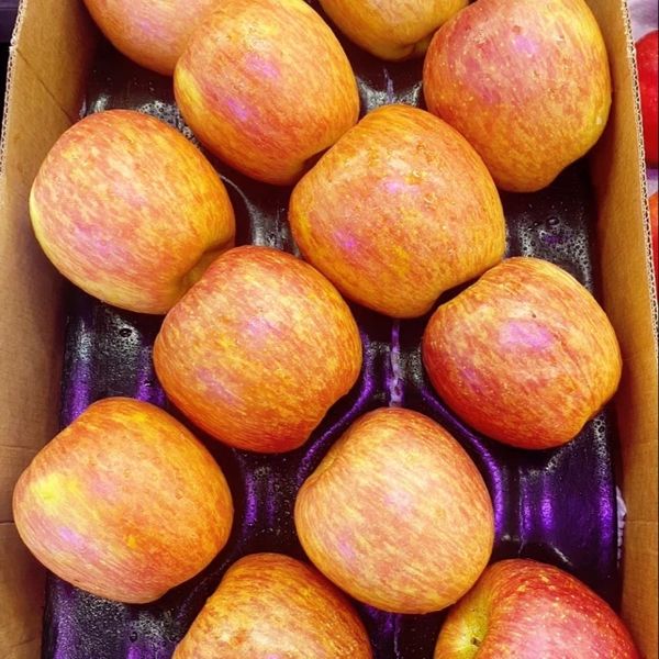 【專業農】智利 脆甜 富士蘋果  6顆禮盒組