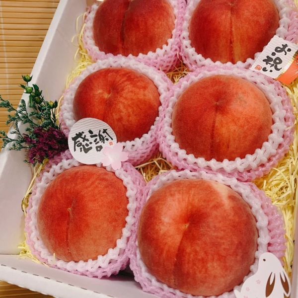 【專業農】日本 和歌山 「紀之里」白鳳桃禮盒