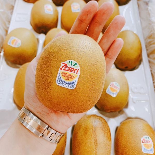 【專業農】紐西蘭Zespri 陽光金圓頭 巨大果 黃金奇異果( 18入 )