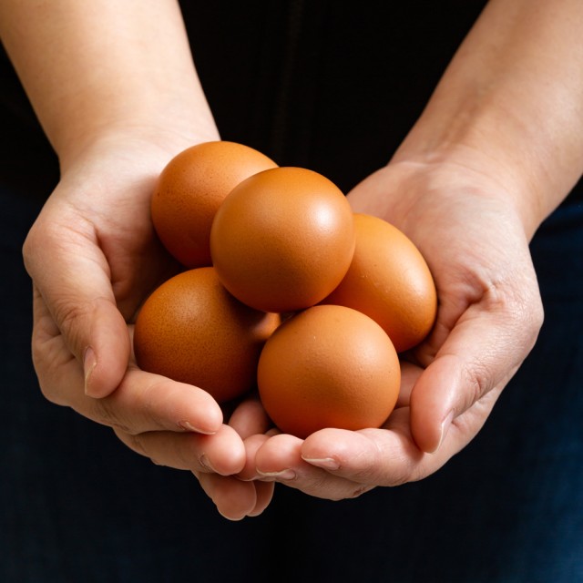 【買一送一】專業農新鮮紅殼雞蛋18顆組