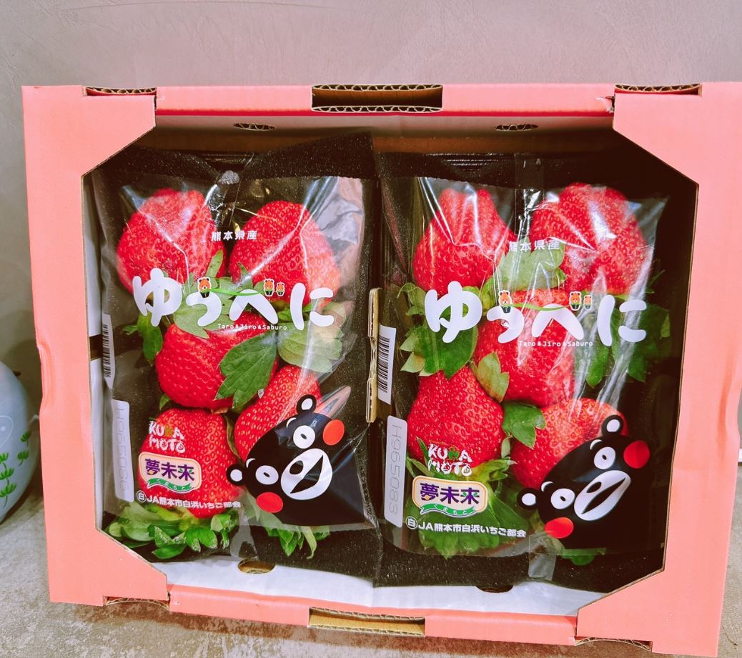 【專業農】日本 熊本 夢未來 熊紅草莓
