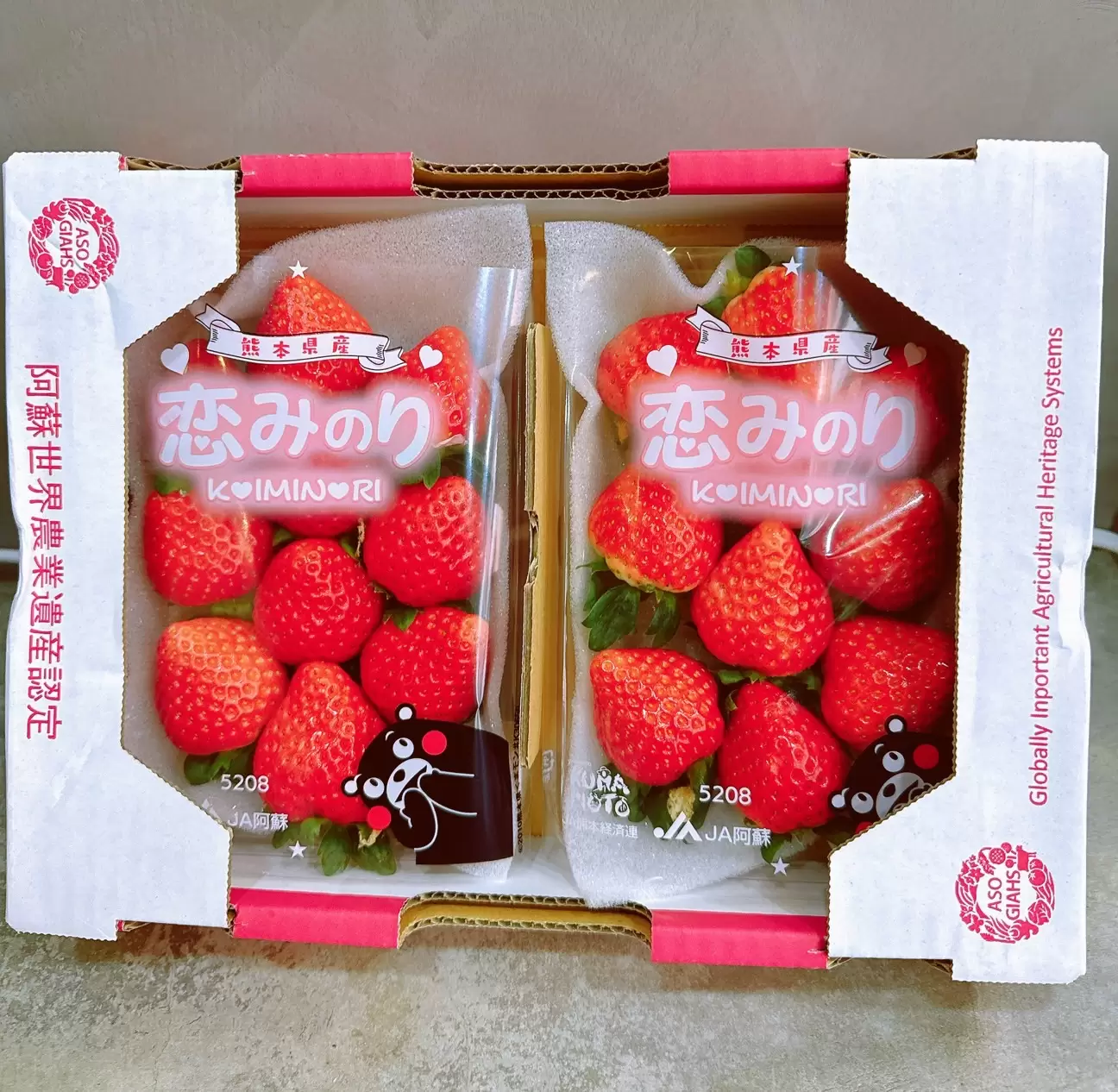 【專業農】日本 熊本 阿蘇 戀之實 恋みのり 草莓