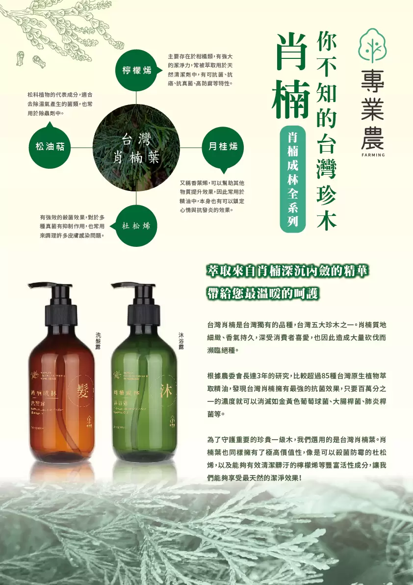 【專業農】臺灣國寶肖楠 深沉內斂的潔淨 沐浴露